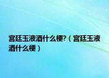 宫廷玉液酒什么梗?（宫廷玉液酒什么梗）