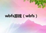 wbfs游戏（wbfs）