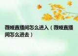 薇娅直播间怎么进入（薇娅直播间怎么进去）