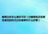 翡翠白色怎么看好不好（白翡翠有还有哪些漂亮的样式白色翡翠作什么好看）