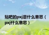 贴吧的pxj是什么意思（pxj什么意思）