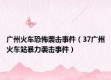 广州火车恐怖袭击事件（37广州火车站暴力袭击事件）