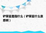 铲屎官是指什么（铲屎官什么意思啊）