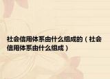 社会信用体系由什么组成的（社会信用体系由什么组成）