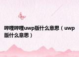 哔哩哔哩uwp版什么意思（uwp版什么意思）