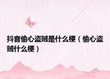 抖音偷心盗贼是什么梗（偷心盗贼什么梗）