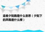 追着夕阳跑是什么意思（夕阳下的奔跑是什么梗）