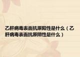 乙肝病毒表面抗原阳性是什么（乙肝病毒表面抗原阴性是什么）