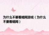 为什么不要看暗网游戏（为什么不要看暗网）