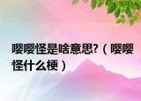 嘤嘤怪是啥意思?（嘤嘤怪什么梗）