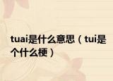tuai是什么意思（tui是个什么梗）