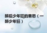 醉后少年狂的意思（一醉少年狂）