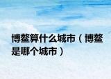博鳌算什么城市（博鳌是哪个城市）