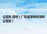公证处 深圳（广东省深圳市深圳公证处）
