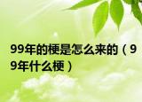 99年的梗是怎么来的（99年什么梗）