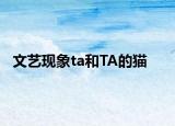文艺现象ta和TA的猫