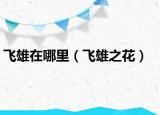 飞雄在哪里（飞雄之花）