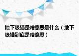 地下吸猫是啥意思是什么（地下吸猫到底是啥意思）