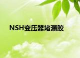 NSH变压器堵漏胶