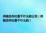 供销合作社是干什么的公司（供销合作社是干什么的）