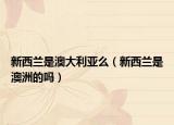 新西兰是澳大利亚么（新西兰是澳洲的吗）