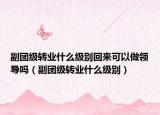 副团级转业什么级别回来可以做领导吗（副团级转业什么级别）
