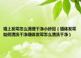 墙上发霉怎么清理干净小妙招（墙体发霉如何清洗干净墙体发霉怎么清洗干净）
