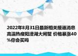 2022年8月31日最新相关报道消息 高温热瘦阳澄湖大闸蟹 价格暴涨40%你会买吗