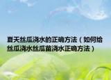 夏天丝瓜浇水的正确方法（如何给丝瓜浇水丝瓜苗浇水正确方法）