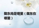 陇东南是哪里（陇东在哪里）