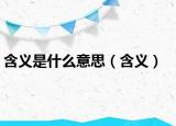 含义是什么意思（含义）
