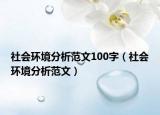 社会环境分析范文100字（社会环境分析范文）