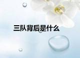 三队背后是什么