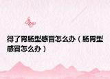 得了胃肠型感冒怎么办（肠胃型感冒怎么办）