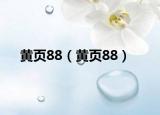 黄页88（黄页88）