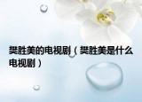 樊胜美的电视剧（樊胜美是什么电视剧）