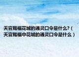 天官赐福花城的通灵口令是什么?（天官赐福中花城的通灵口令是什么）