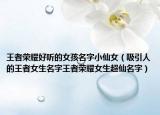 王者荣耀好听的女孩名字小仙女（吸引人的王者女生名字王者荣耀女生超仙名字）