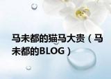 马未都的猫马大贵（马未都的BLOG）