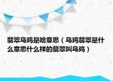 翡翠乌鸡是啥意思（乌鸡翡翠是什么意思什么样的翡翠叫乌鸡）