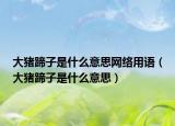 大猪蹄子是什么意思网络用语（大猪蹄子是什么意思）
