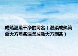 成熟温柔干净的网名（温柔成熟简单大方网名温柔成熟大方网名）