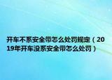 开车不系安全带怎么处罚规定（2019年开车没系安全带怎么处罚）