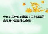 什么叫玉什么叫翡翠（玉中翡翠的意思玉中翡翠什么意思）