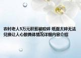 农村老人5万元积蓄被咬碎 纸面太碎无法兑换让人心酸具体情况详细内容介绍