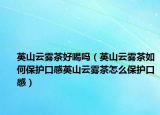 英山云雾茶好喝吗（英山云雾茶如何保护口感英山云雾茶怎么保护口感）