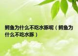 鳄鱼为什么不吃水豚呢（鳄鱼为什么不吃水豚）