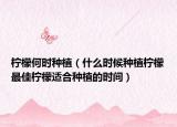 柠檬何时种植（什么时候种植柠檬最佳柠檬适合种植的时间）