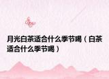 月光白茶适合什么季节喝（白茶适合什么季节喝）