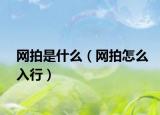 网拍是什么（网拍怎么入行）